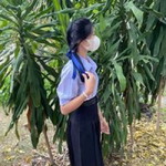 Pimcha Nok'k profile icon