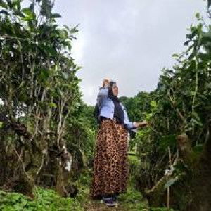 Nenk Ha Li Fa profile icon