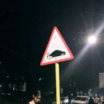 Crstyn Navidad profile icon