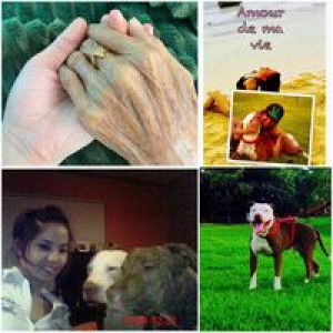 ᜇᜒᜌᜓᜐ ᜁᜇᜒᜐ ᜇᜒᜄᜓᜇ᜔ profile icon