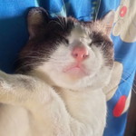 กชกร ฝึกฝน profile icon