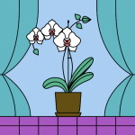 Camille Manuel profile icon