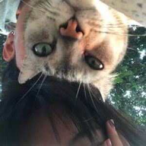 Nuan ʚíɞ profile icon