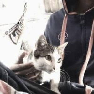 จาง หาย. profile icon