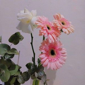 Khamala Khoerur rizki profile icon