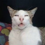 แม่เด็กหญิง profile icon