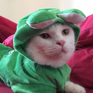 Zetty Izlan profile icon