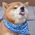 Ingrid Manten profile icon