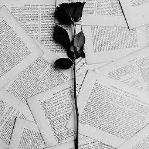 hanna parsudi profile icon