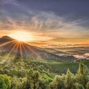 Arifah Florensia Dekarsa profile icon