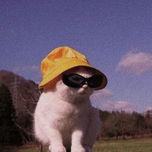 พัทธนันท์ จันต๊ะมูล profile icon