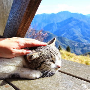 Charlotte Shun profile icon