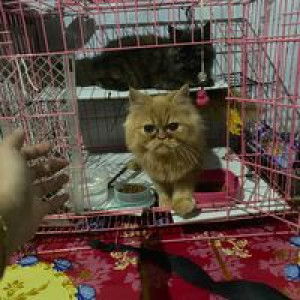 Najiafitri profile icon