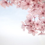 Emilia Kasim profile icon