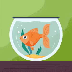 Pencinta Ilmu profile icon