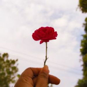 marissa profile icon