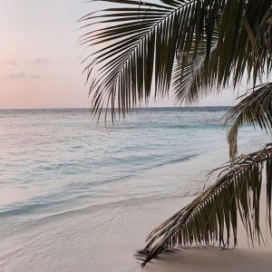 Phairly B profile icon