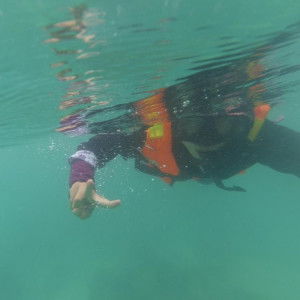 Fatiha Md Nor profile icon