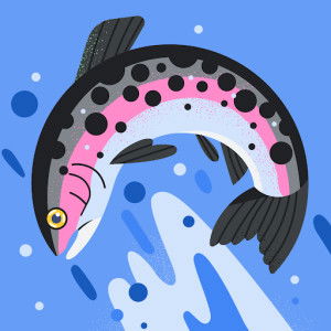 Dian Afita Sari profile icon