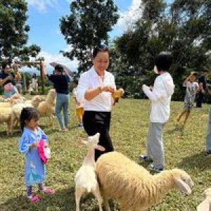 วารุณี เขื่อนธะนะ profile icon