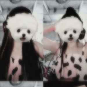 Sudill 374jx profile icon