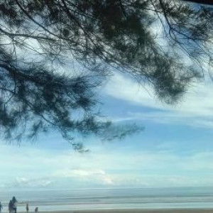 dyh_ mslm profile icon