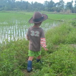 Hanifah Liljannah profile icon