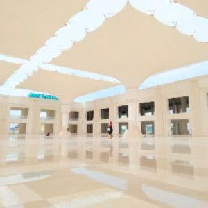 Avita Fidini profile icon