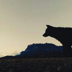 Anna Zinnirah profile icon