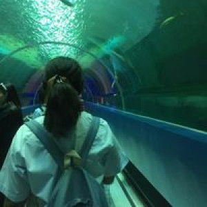 หวาน เย็น'นน. profile icon