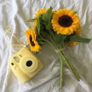 ฟอง เบียร์ profile icon