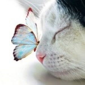 Valentin Smogunov profile icon