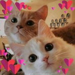 Windy Marhum profile icon