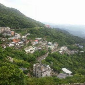 Tina zhang profile icon