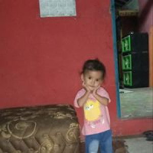 Susi Noviana profile icon