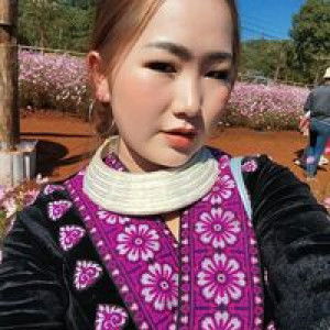 กระบองเพชรและกล้าผัก โรงเพาะกล้า profile icon