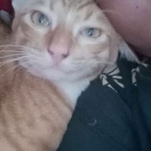 Fe Ny46 profile icon