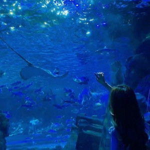 Bijak bestari profile icon