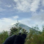Salma Rifka Annisa profile icon