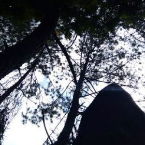 Sonia Aprilliani profile icon