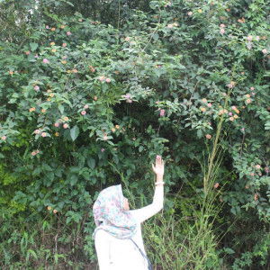 Agfrieda Wuryandani profile icon