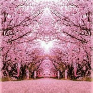 Lynz Bae profile icon