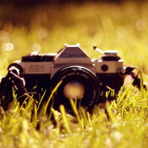 Nursyifa maudina hasanah profile icon