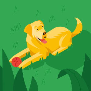 Baby John profile icon