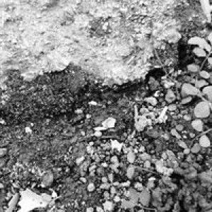 Apap Apa profile icon