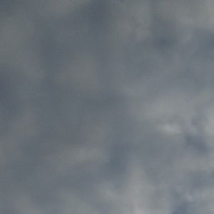 Erina Erina profile icon