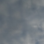 Erina Erina profile icon