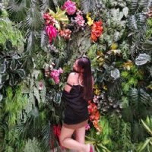 Pranom Prak profile icon