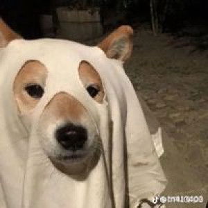 วารุณี วงษ์ปั้น profile icon