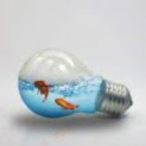 rahmi fitri profile icon